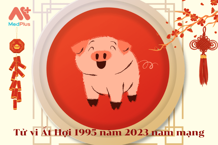 Tử vi Ất Hợi 1995 năm 2023 nam mạng 128 Tử vi Ất Hợi 1995 năm 2023 nam mạng