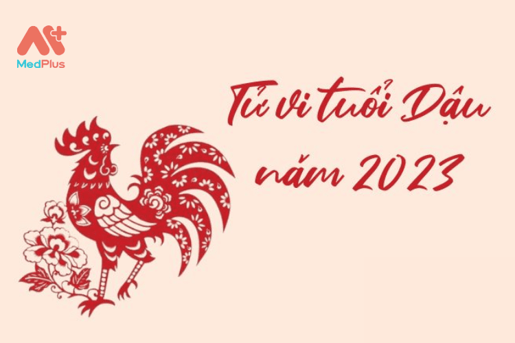 Tử vi tuổi Dậu năm 2023 - Dự đoán về con đường công danh, sự nghiệp