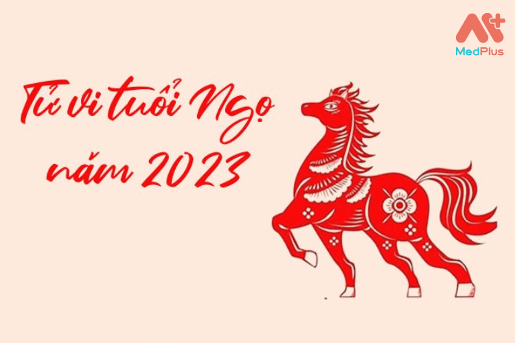 Tử vi tuổi Ngọ năm 2023 - Dự đoán về con đường công danh, sự nghiệp