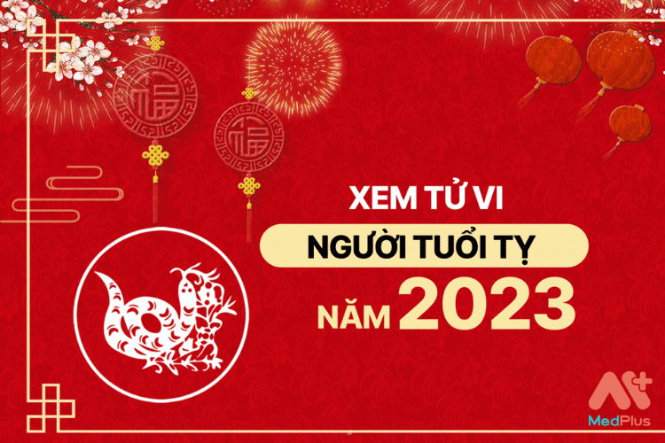 Tử vi tuổi Tỵ năm 2023 - Dự đoán về con đường công danh, sự nghiệp