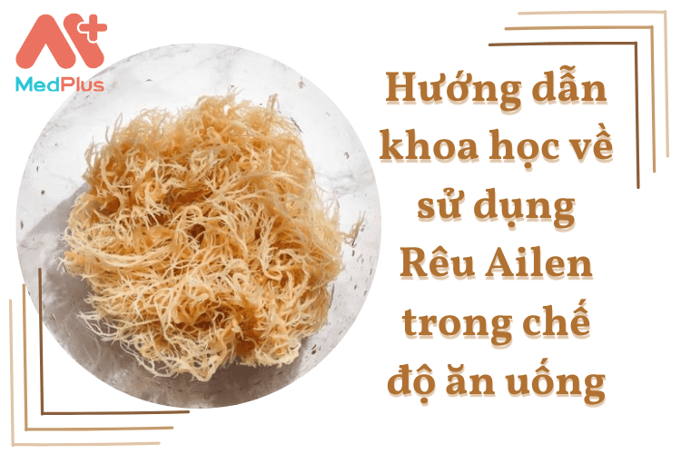 Hướng dẫn khoa học về sử dụng Rêu Ailen trong chế độ ăn uống