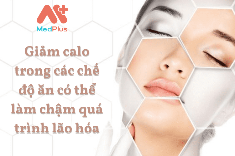 Giảm calo trong các chế độ ăn có thể làm chậm quá trình lão hóa