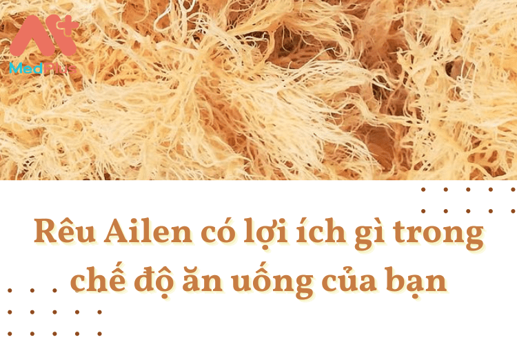 Rêu Ailen có lợi ích gì trong chế độ ăn uống của bạn