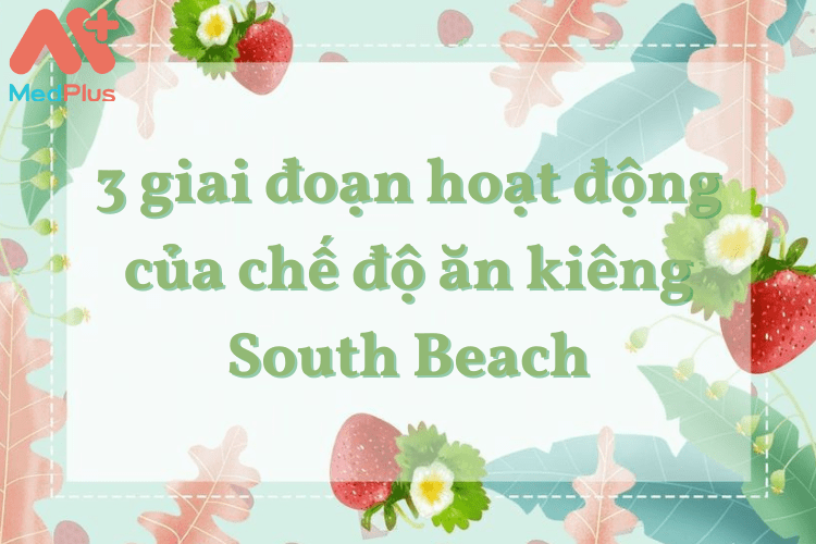 3 giai đoạn hoạt động của chế độ ăn kiêng South Beach