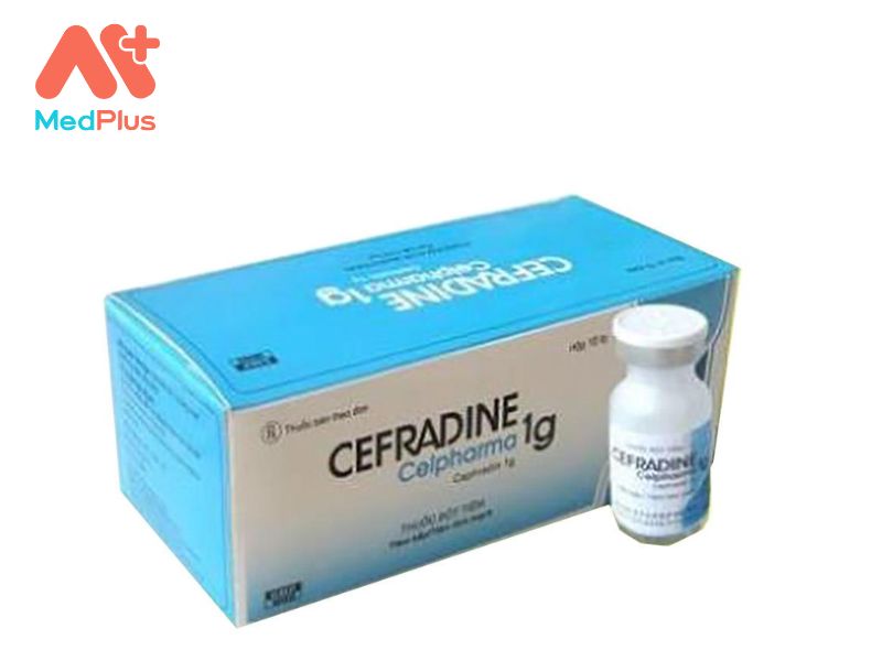 Thuốc Cefradin VCP | Điều Trị Nhiễm Khuẩn Hô Hấp