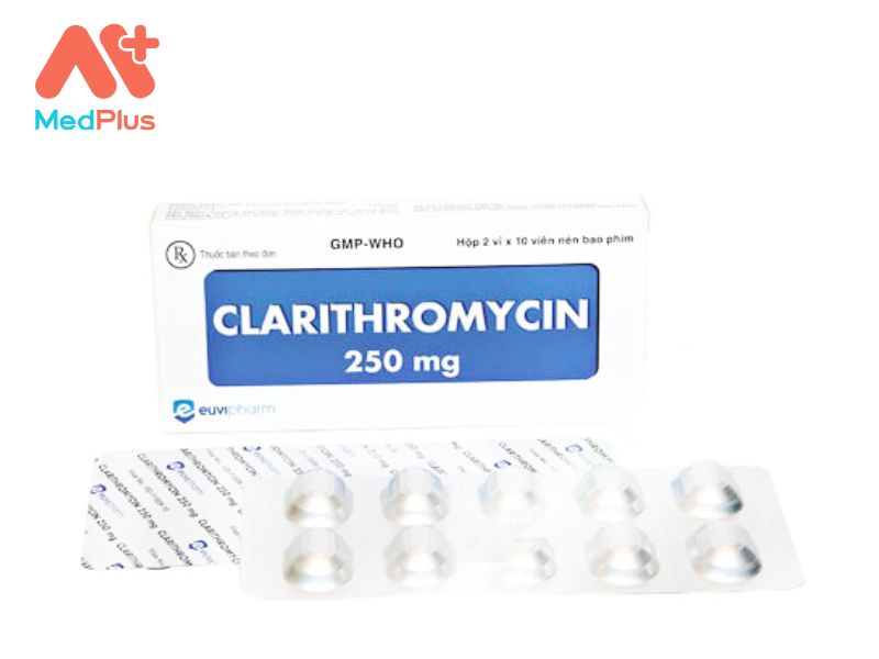 Thuốc Clarithromycin Savi 250 | Điều Trị Ho Gà Giai Đoạn Đầu
