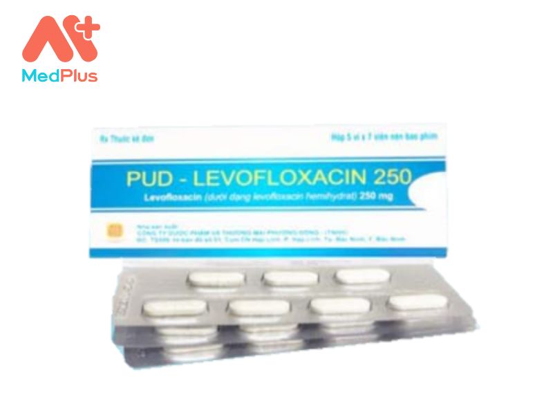 Thuốc PUD-Levofloxacin 250 | Điều Trị Viêm Phế Quản 