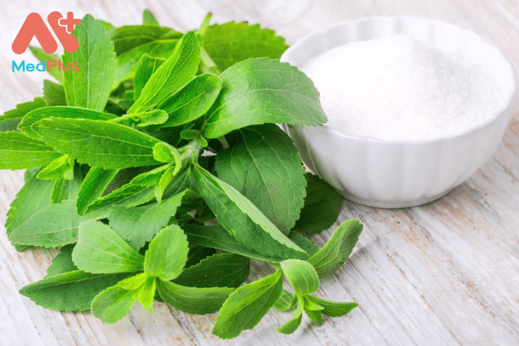 Loại cỏ ngọt Stevia được sử dụng nhiều trong chế độ ăn kiêng bệnh tiểu đường