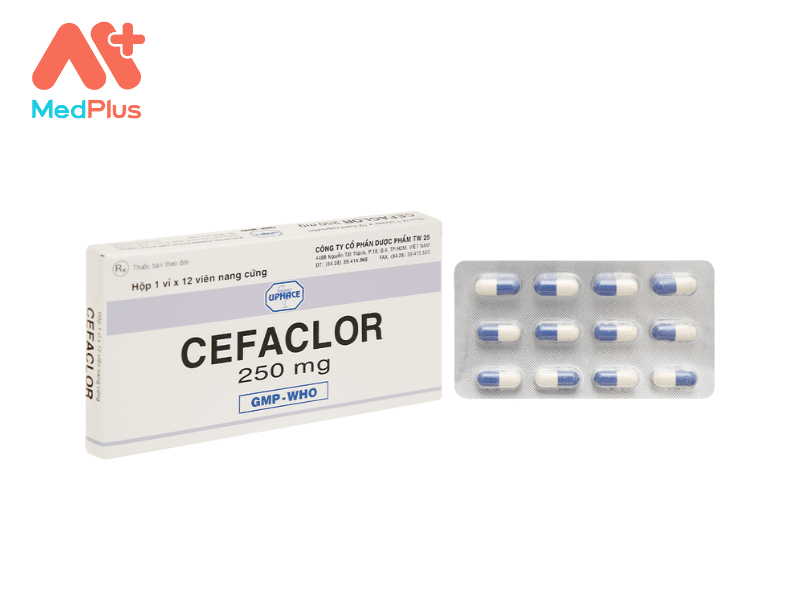 Thuốc Cefaclor 250 - CGP | Điều Trị Nhiễm Khuẩn Hiệu Quả