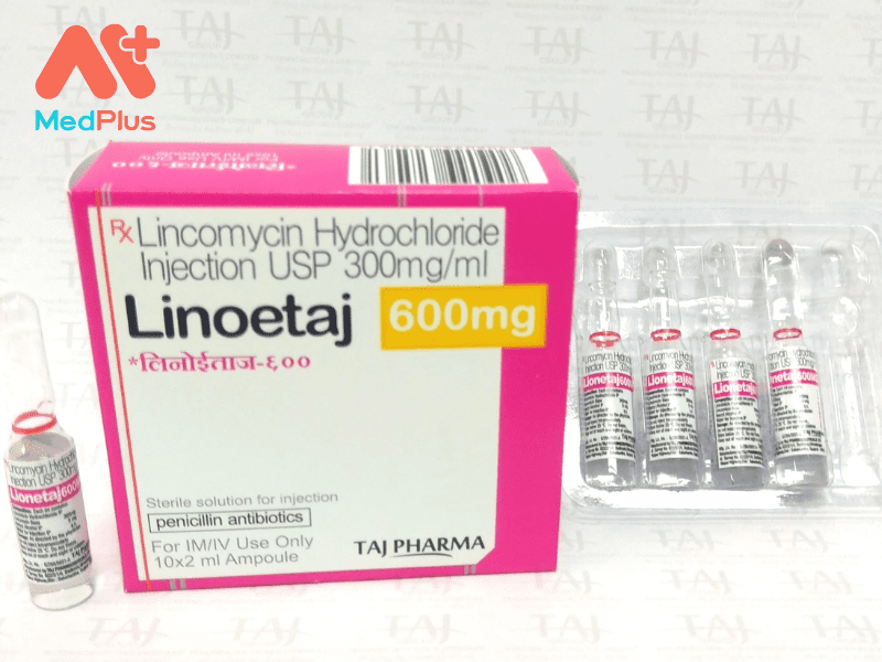 Thuốc Lincomycin Hydrochloride Inj | Trị Viêm Xương Và Khớp