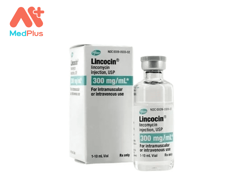 Thuốc Lincomycin injection | Công Dụng Và Liều Dùng