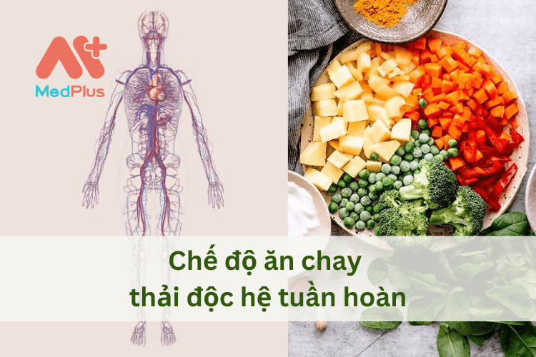 thải độc hệ tuần hoàn